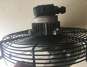 �����Emmegi�L�C